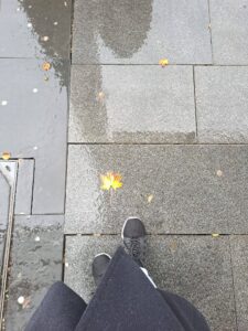 If I Ever Run Away, It’ll Be Here