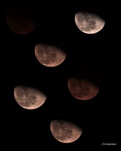 Our Moon: One face, Many shades